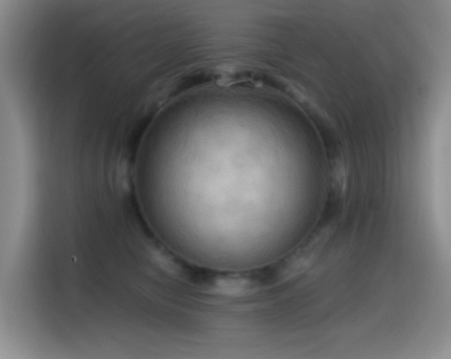 X0000114610470200910201156