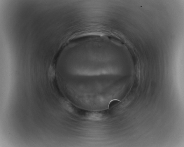 X0000114610471200910201156