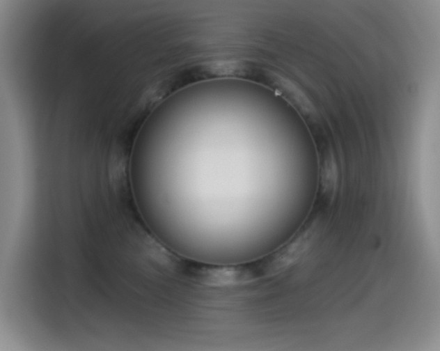 X0000114610473200910201156