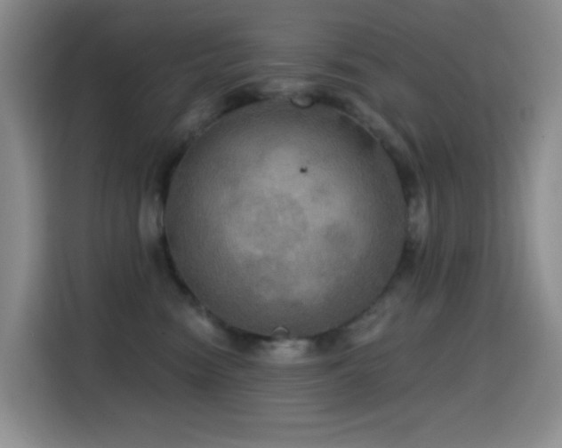 X0000114610474200910201156