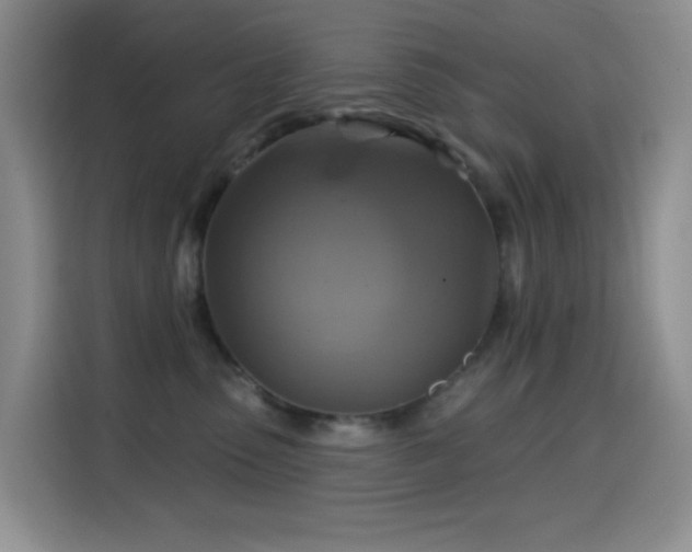 X0000114610475200910201156