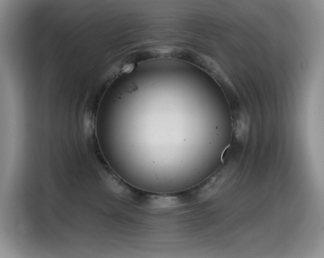 X0000114610476200910201156