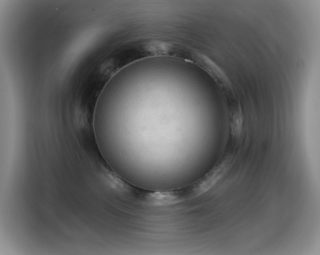 X0000114610477200910201156