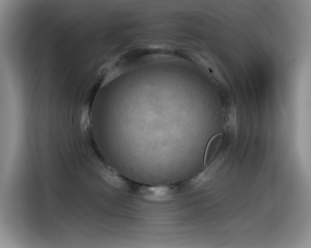 X0000114610478200910201156