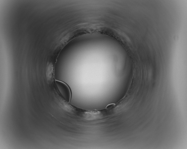 X0000114610480200910201156