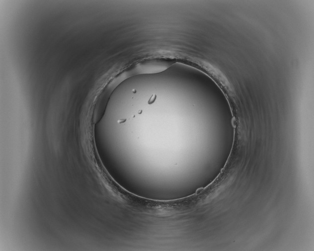 X0000114610481200910201155