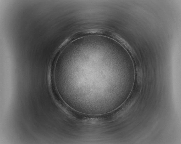 X0000114610482200910201155