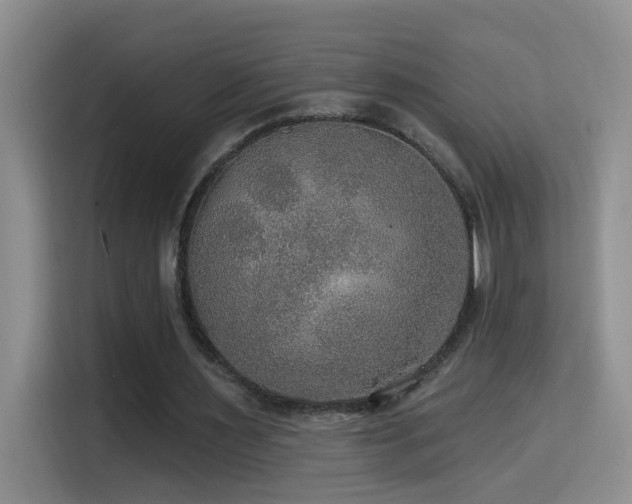 X0000114610483200910201155