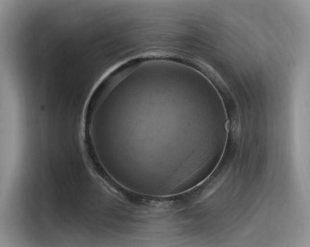 X0000114610484200910201155