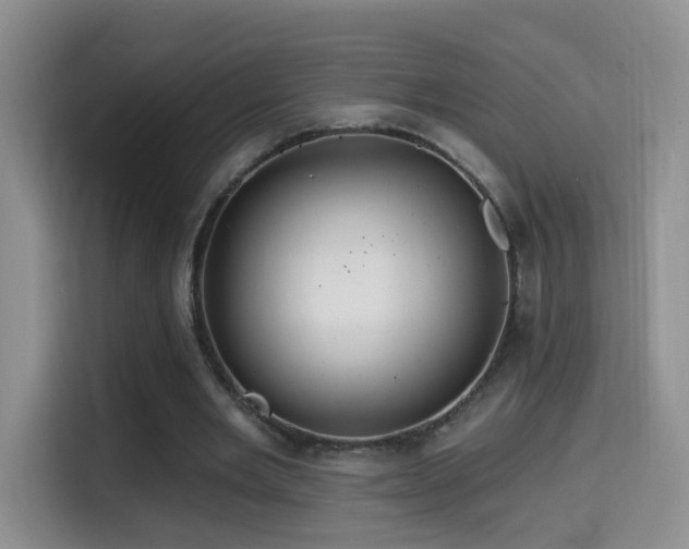 X0000114610485200910201155