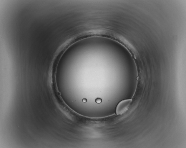 X0000114610486200910201155