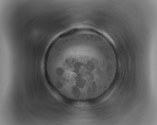 X0000114610487200910201155