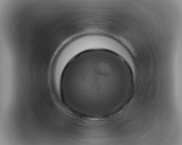 X0000114610488200910201155