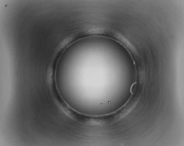 X0000114610490200910201155