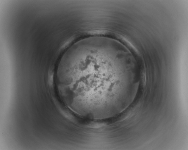 X0000114610491200910201155