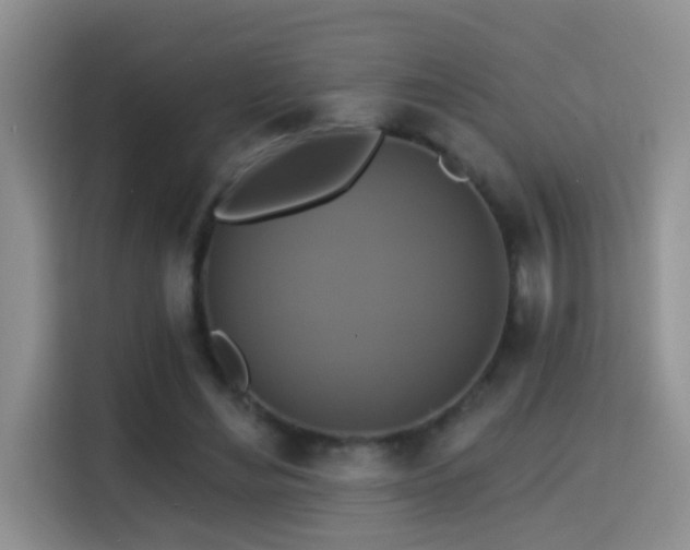 X0000114610492200910201155