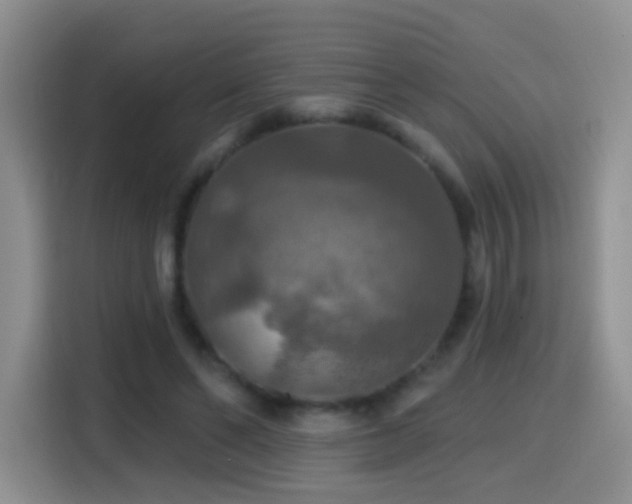 X0000114610494200910201155