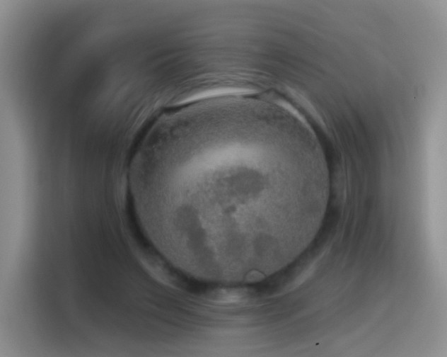 X0000114610495200910201155