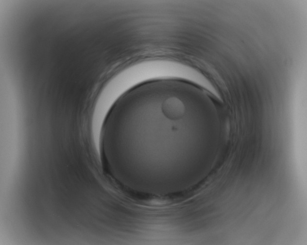 X0000114610496200910201155