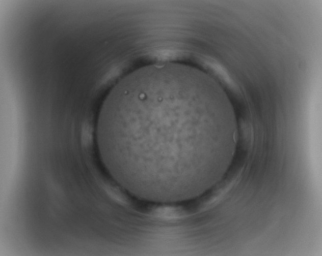 X0000114610499200910201155