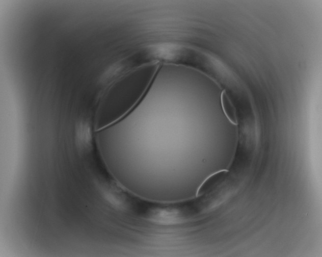 X0000114610500200910201155