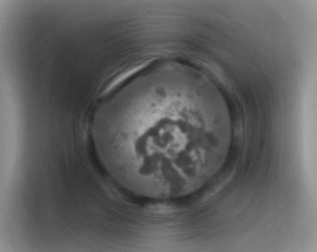 X0000114610503200910201155