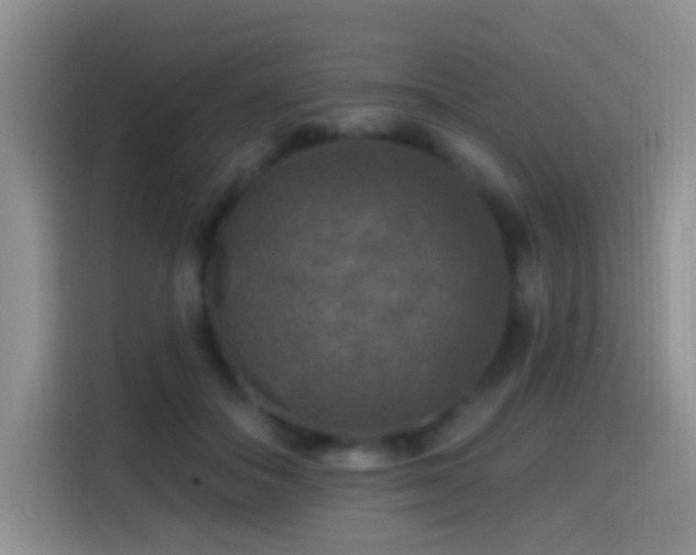 X0000114610506200910201155