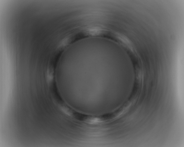 X0000114610507200910201155