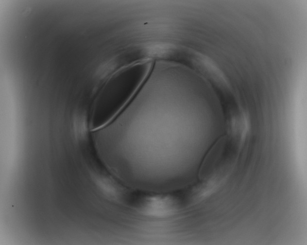 X0000114610508200910201155