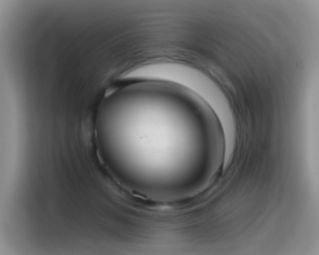 X0000114610509200910201155