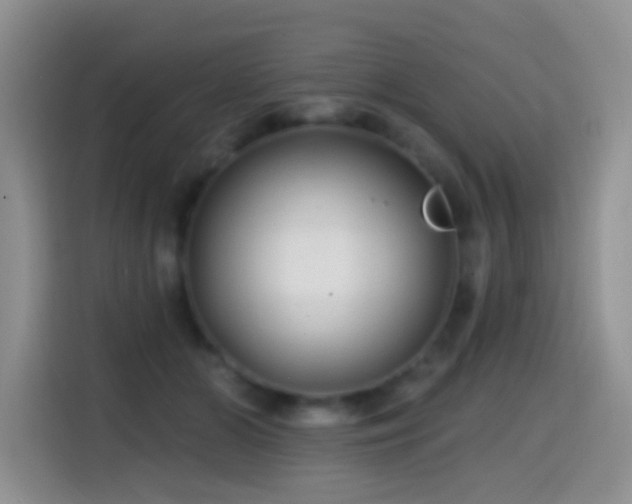 X0000114610510200910201155