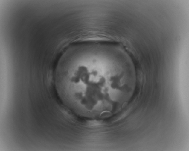 X0000114610511200910201155