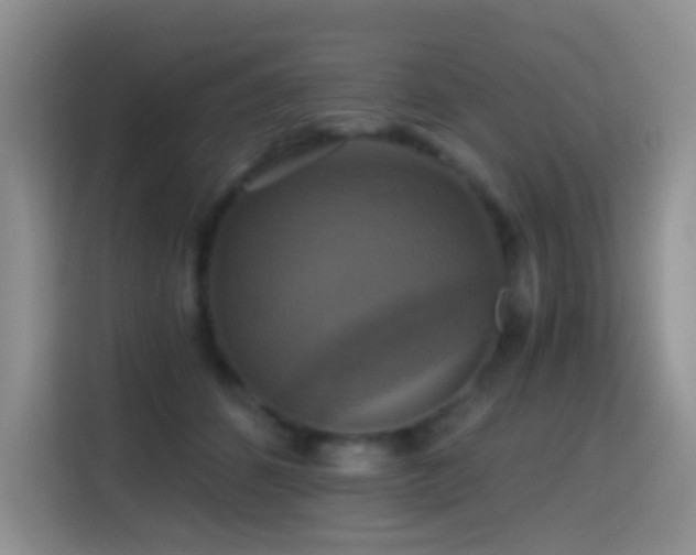 X0000114610512200910201155