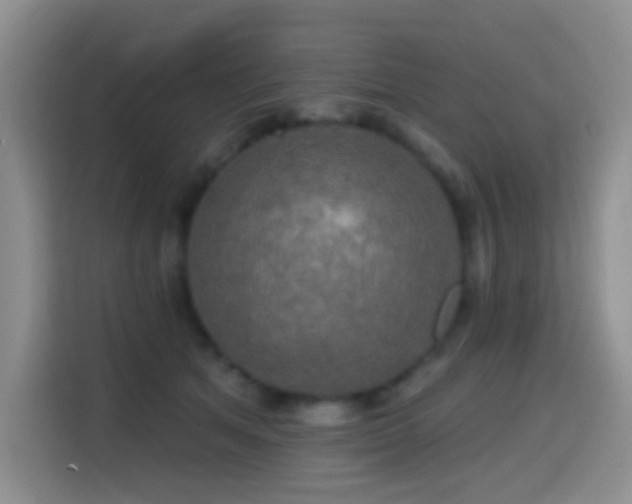 X0000114610513200910201155