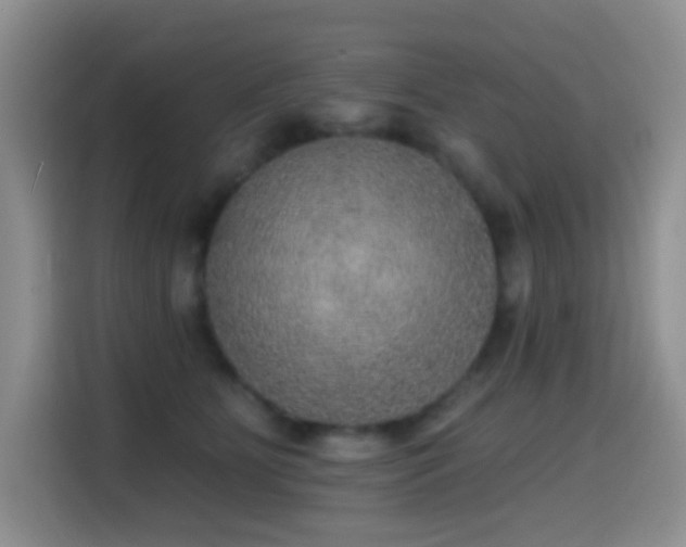 X0000114610515200910201155