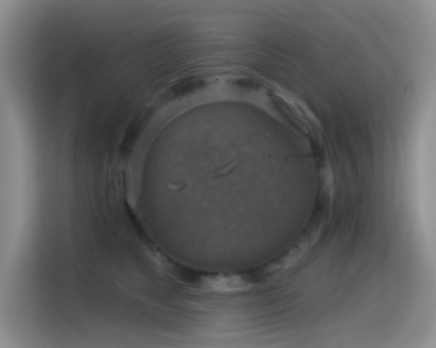 X0000114610517200910201155