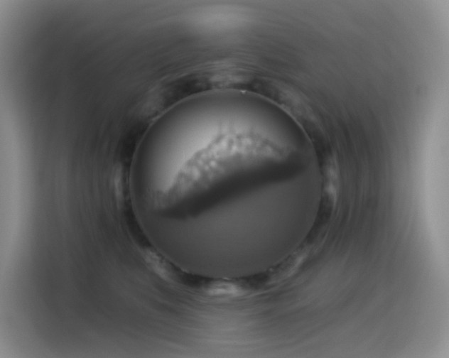 X0000114610519200910201155