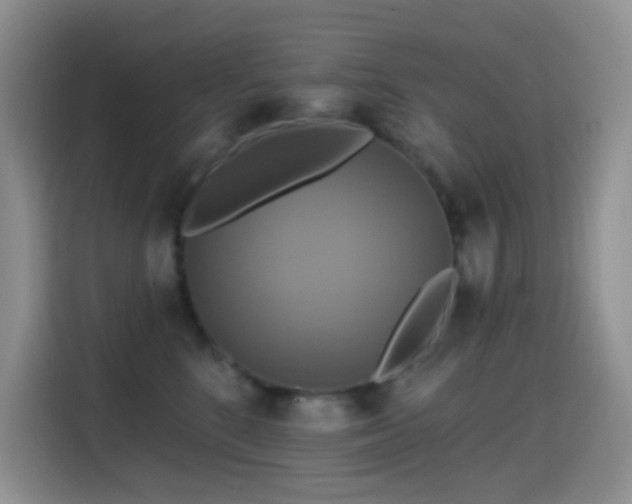 X0000114610520200910201155