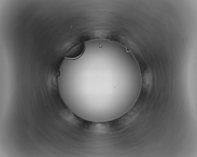 X0000114610522200910201155