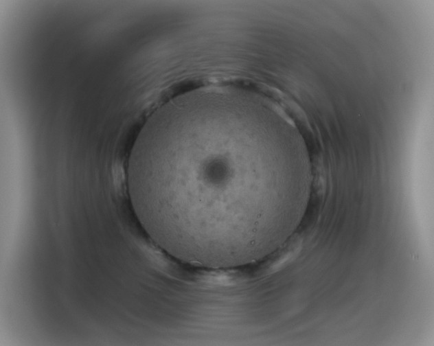 X0000114610523200910201155