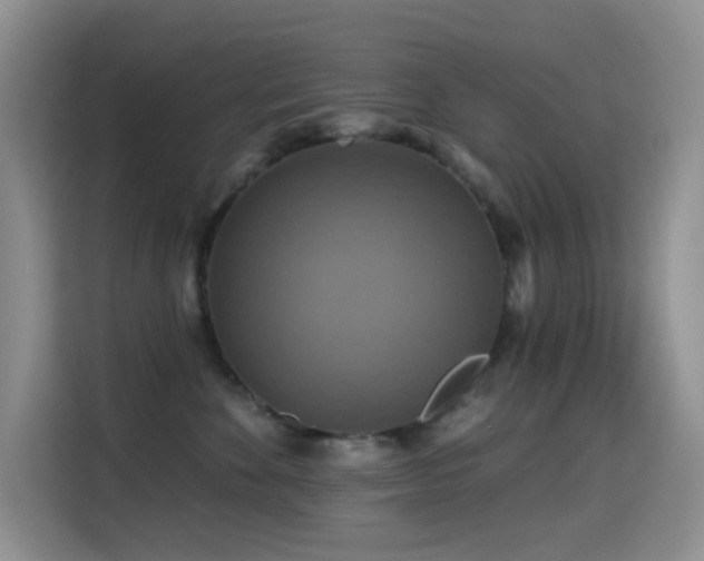 X0000114610524200910201155