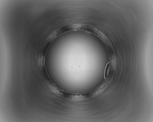 X0000114610525200910201155