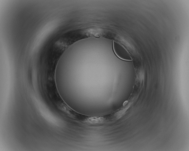 X0000114610526200910201155