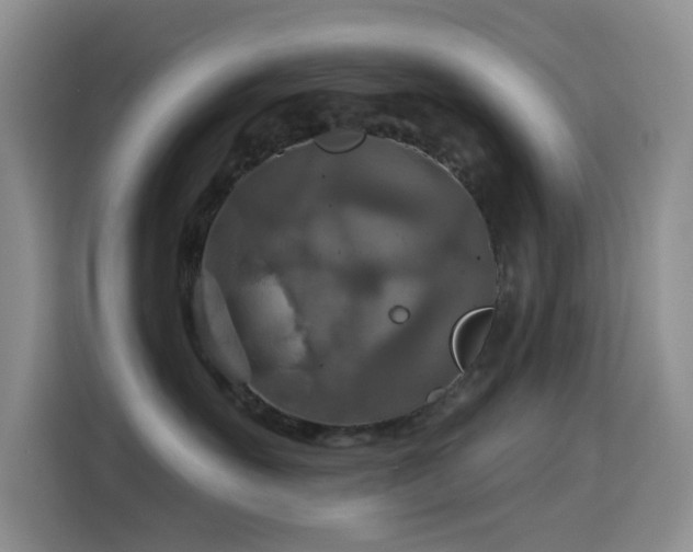 X0000114610527200910201155