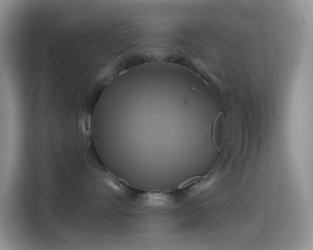 X0000114610528200910201155