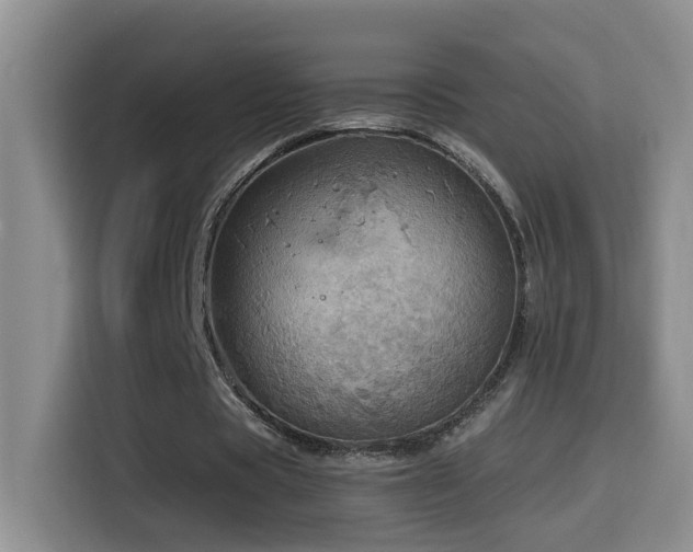 X0000114610529200910201154