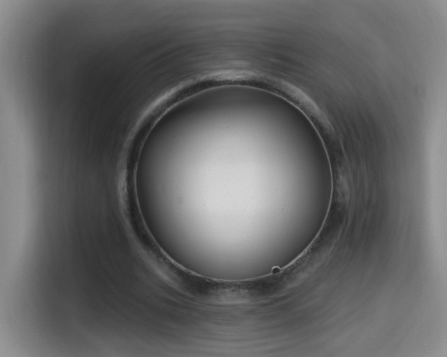 X0000114610535200910201154