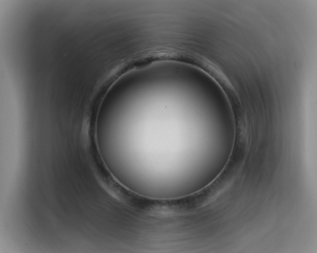 X0000114610538200910201154