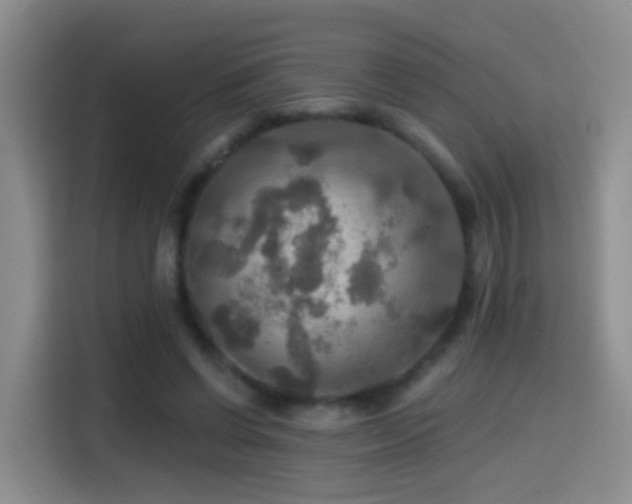 X0000114610542200910201154