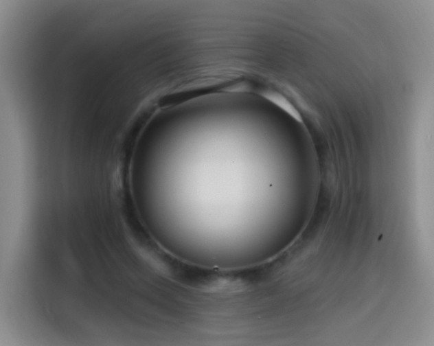 X0000114610543200910201154